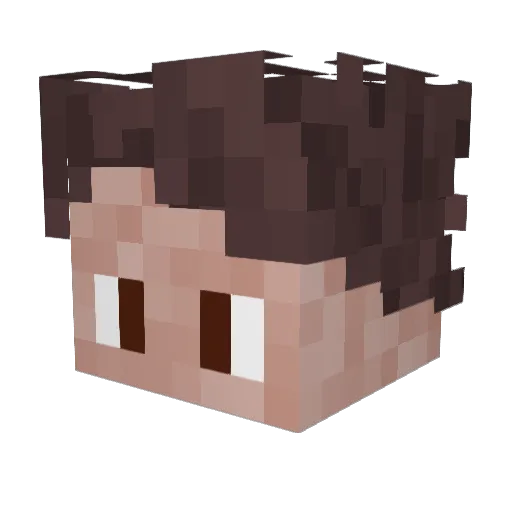 _voydz_ Minecraft avatar head, 3D render