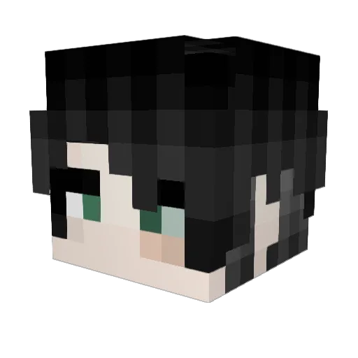_vtmis Minecraft avatar head, 3D render