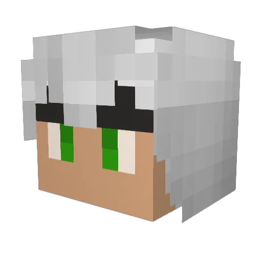 _w4lly_ Minecraft avatar head, 3D render
