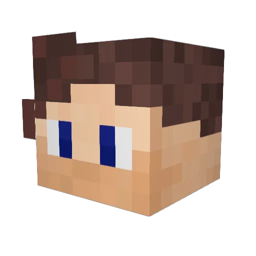 _wasneeplus_ Minecraft avatar head, 3D render