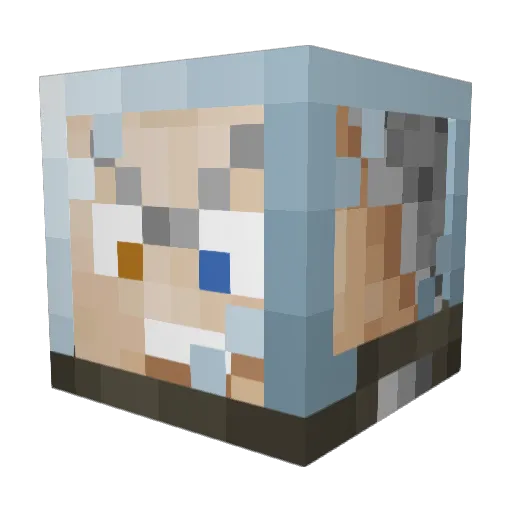 _wayfinderrr_ Minecraft avatar head, 3D render