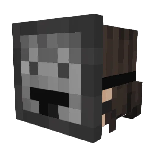 _webe Minecraft avatar head, 3D render