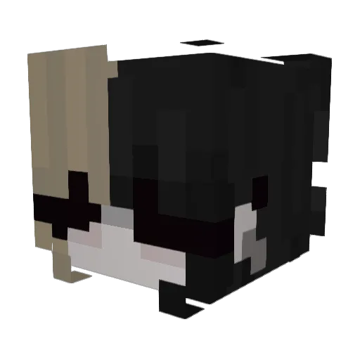 _wera981_ Minecraft avatar head, 3D render