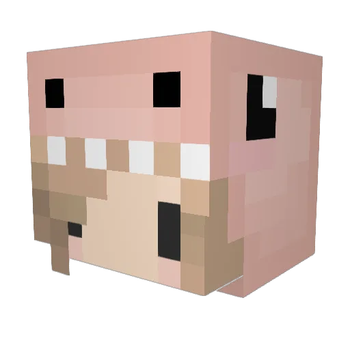_whimper_ Minecraft avatar head, 3D render