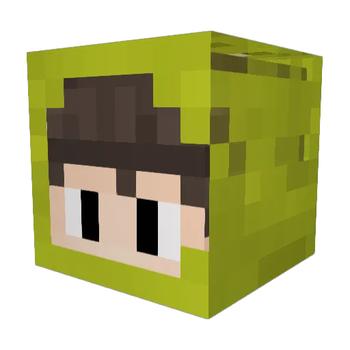_wk Minecraft avatar head, 3D render