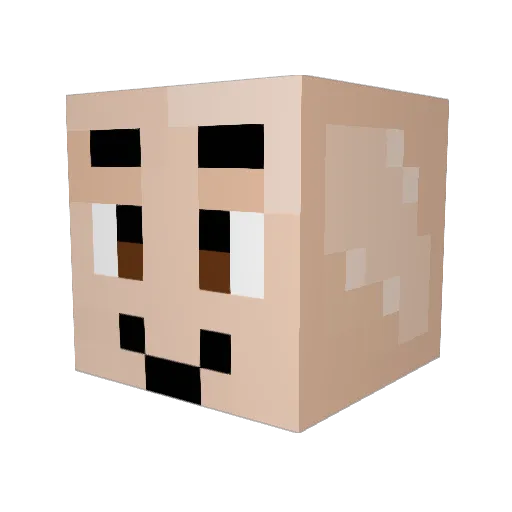 _wonkwonk Minecraft avatar head, 3D render