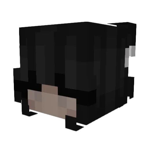 _worek_ Minecraft avatar head, 3D render