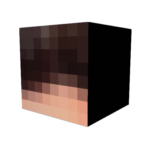_x23 Minecraft avatar head, 3D render