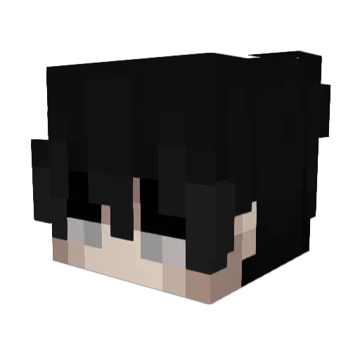 _xAsterion_ Minecraft avatar head, 3D render