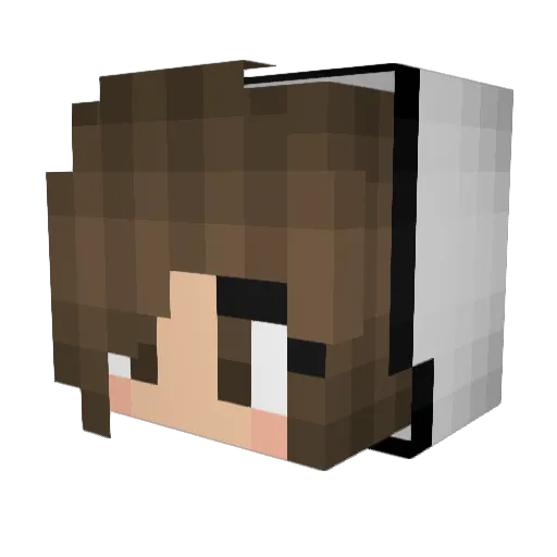 _xCrane_ Minecraft avatar head, 3D render