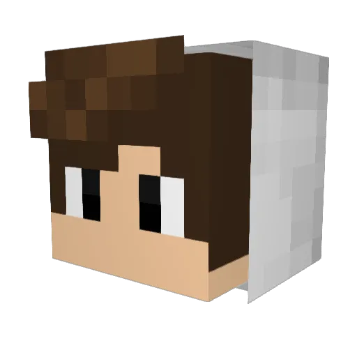 _xFlorianx_ Minecraft avatar head, 3D render