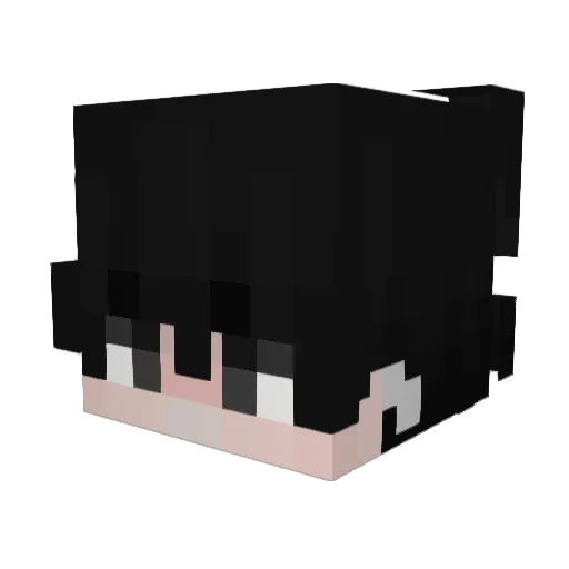 _xIns0mnio Minecraft avatar head, 3D render