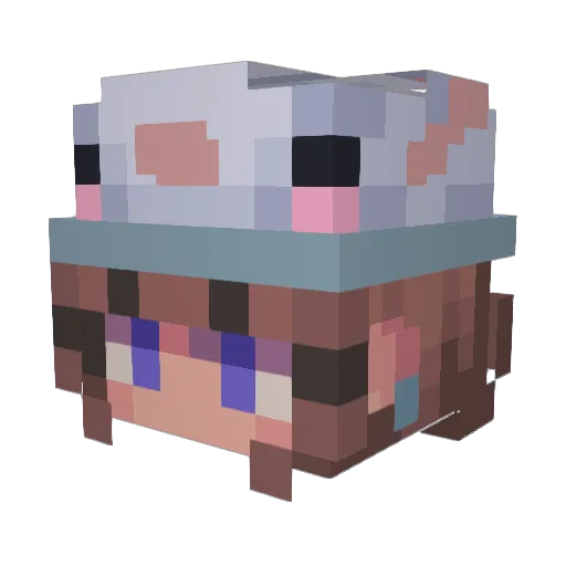 _xJadex_ Minecraft avatar head, 3D render
