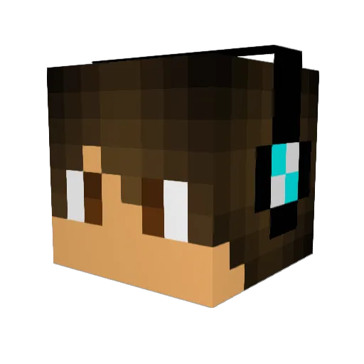 _xNinja Minecraft avatar head, 3D render
