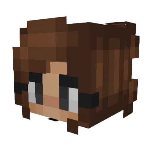 _xSilverPandax_ Minecraft avatar head, 3D render