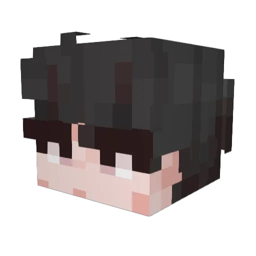 _xSqlah Minecraft avatar head, 3D render