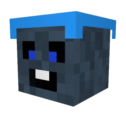 _xTomx_ Minecraft avatar head, 3D render