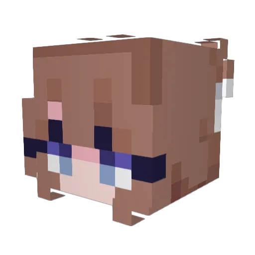 _xXAoiGamingXx_ Minecraft avatar head, 3D render