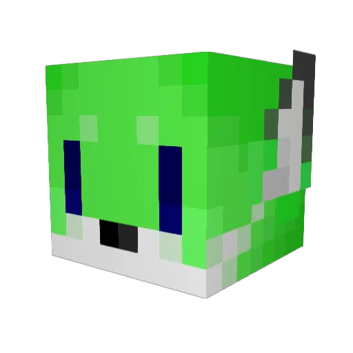 _xXFoxyXx_ Minecraft avatar head, 3D render