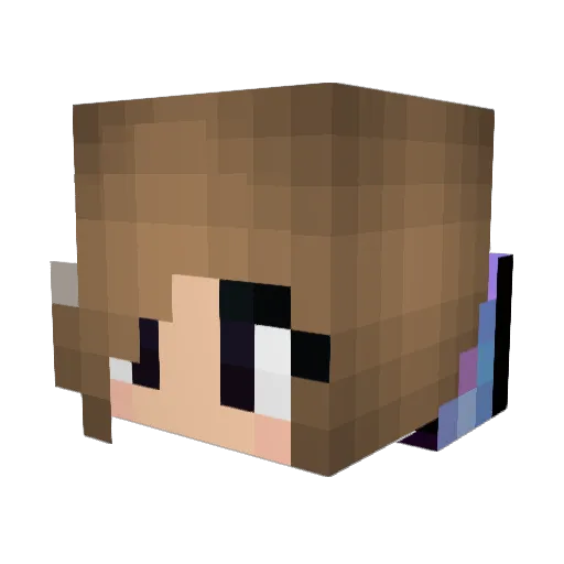 _xXSudenXx_ Minecraft avatar head, 3D render