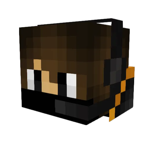 _xXWildfireGXx_ Minecraft avatar head, 3D render