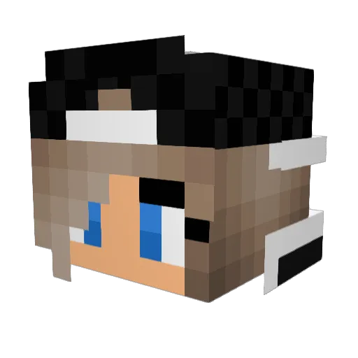 _xX_Laxa_Xx_ Minecraft avatar head, 3D render