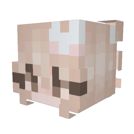 _xX_Mommy_Xx_ Minecraft avatar head, 3D render
