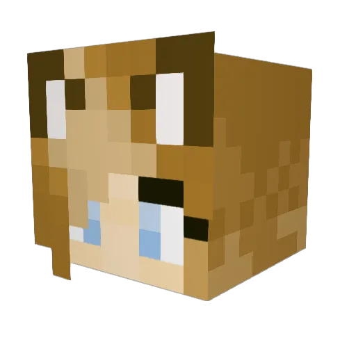 _x_Kit_x_ Minecraft avatar head, 3D render