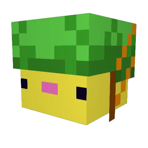 _xandirek Minecraft avatar head, 3D render
