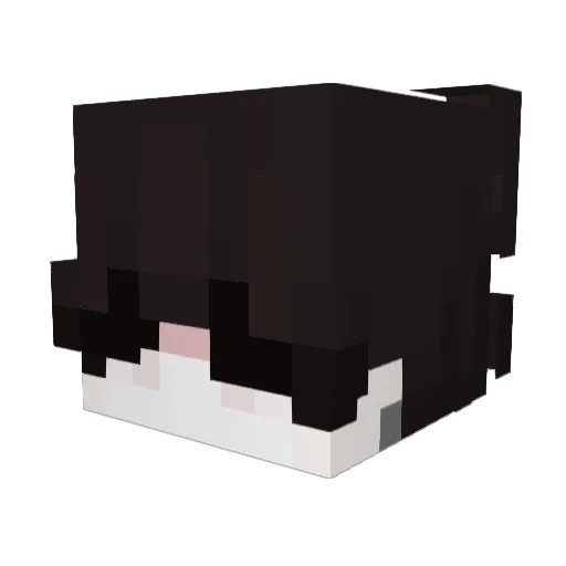 _xayez Minecraft avatar head, 3D render