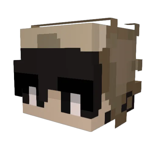 _xight Minecraft avatar head, 3D render