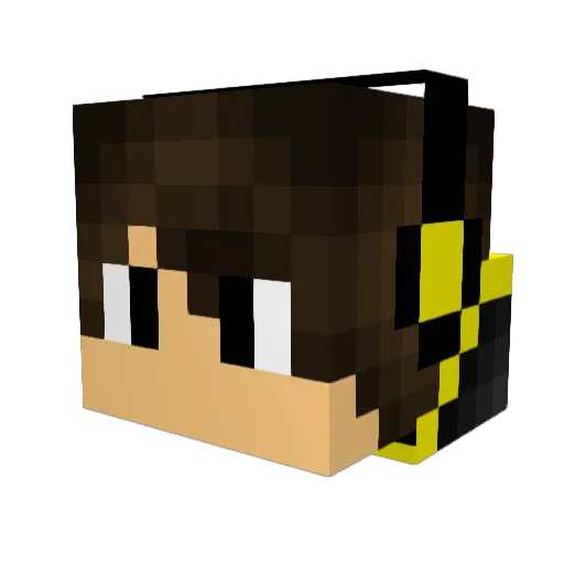 _xraid3r_ Minecraft avatar head, 3D render