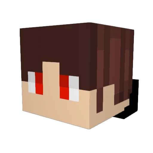 _xrayy Minecraft avatar head, 3D render