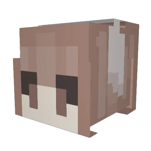 _xxsomeonexx_ Minecraft avatar head, 3D render
