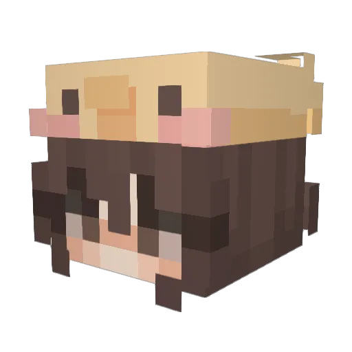 _y3llow Minecraft avatar head, 3D render