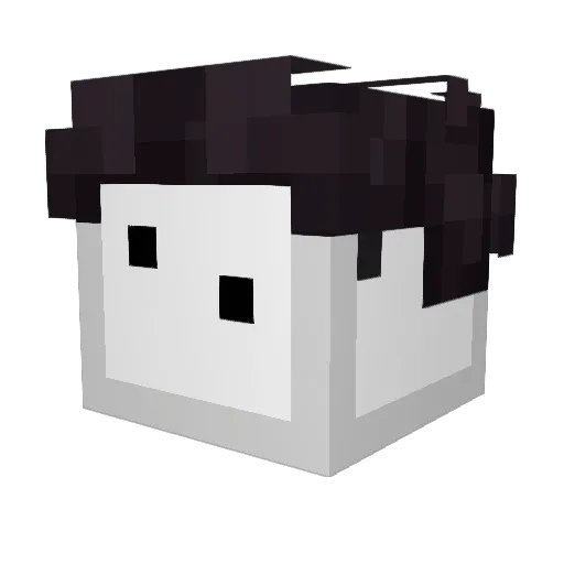 _yeux Minecraft avatar head, 3D render