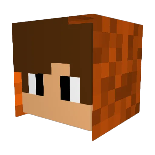 _yoonsi Minecraft avatar head, 3D render