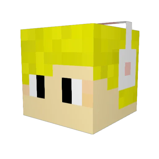 _youn Minecraft avatar head, 3D render