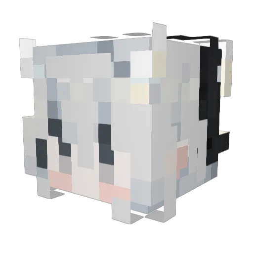 _yuan0w0 Minecraft avatar head, 3D render