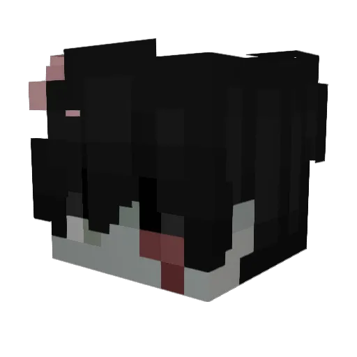 _z3nt Minecraft avatar head, 3D render