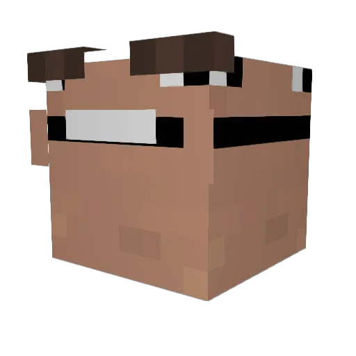 _zChris Minecraft avatar head, 3D render