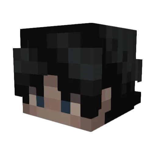 _zKiwi Minecraft avatar head, 3D render