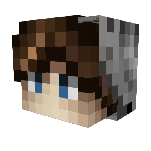 _zLeo32_ Minecraft avatar head, 3D render