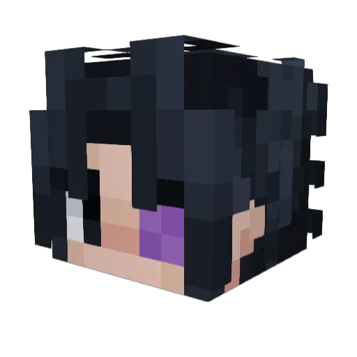 _zREEZ_ Minecraft avatar head, 3D render