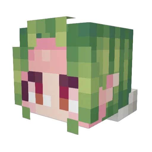 _zaoan_ Minecraft avatar head, 3D render