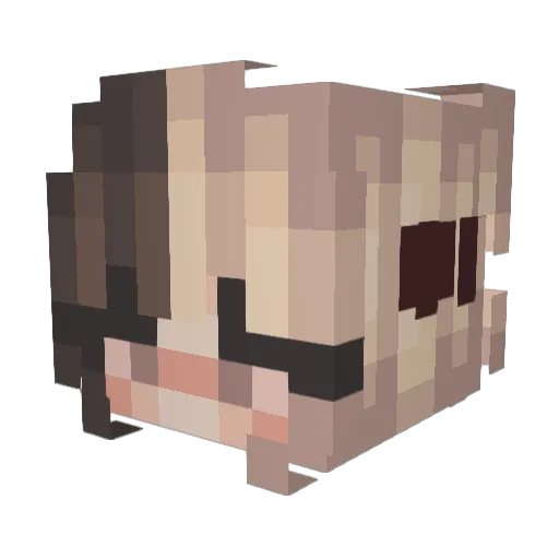 _zer07_ Minecraft avatar head, 3D render