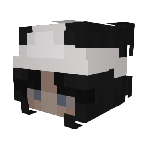 _zh Minecraft avatar head, 3D render