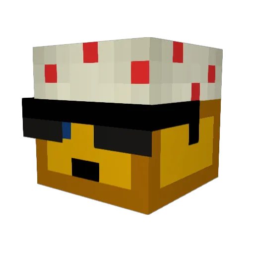 _zicargo Minecraft avatar head, 3D render