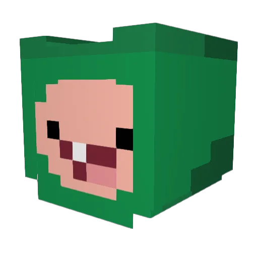 _zima Minecraft avatar head, 3D render