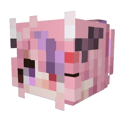 _zinky Minecraft avatar head, 3D render